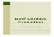 Beef Carcass Evaluation - MU Extension · Carcass Anatomy Before we can begin evaluating carcasses, we must be able to recognize various parts of a carcass and have a basic under-standing