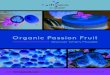 Organic Passion Fruit - iTi Tropicalsititropicals.com/wp-content/uploads/iti_3224_Passion... · 2020. 4. 16. · Passion Fruit Juice – 5100 Frozen Organic Passion Fruit Juice Concentrate