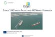 CYPRUS’ LNG IMPORT PROJECT AND NG MARKET ......Pressure reduction and metering station 4. CYPRUS LNG IMPORT TERMINAL Tender for the design, construction and operation of the Terminal