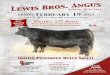  · 2021. 1. 28. · View GrandviewAngus.com for updates throughout the year on our Angus program! Dear Fellow Cattlemen, What a different, strange, and ever-changing year it has