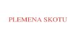 PLEMENA SKOTU · PDF file 2020. 11. 27. · 3. Plemena s kombinovanou užitkovostí: •Plemena horského strakatého skotu: siemenský, německý strakatý (fleckvieh), rakouský
