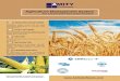 Amity Agriculture Management System for Cereal and Food Grain Industry The Need Farmers are concerned
