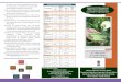 Integrated Pest Management (IPM) in Okra (Abelmoschus · PDF file 2016. 7. 21. · Okra fruit borer Red spider mite 7. Red spider mite (Tetranychus spp.) Mites are minute in size and