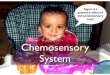 Slides04 Chp4 Chemosensory W16 - University of Ottawaaix1.uottawa.ca/.../Slides04_Chp4_Chemosensory_CLR_W16.pdfTitle Slides04_Chp4_Chemosensory_W16.key Author Charles Collin Created