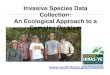 Invasive Species Data Collection: An Ecological Approach ...chapter.ser.org/texas/files/2013/11/Krenzelok_TXSER-Compatibility-Mod… · • Chinese Parasol Tree • Chinese Pistache