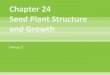 Chapter 24 Seed Plant Structure and Growthloulousisbiology.weebly.com/uploads/2/1/9/3/21932052/... · 2019. 9. 8. · Seed develops from ovule and contains a plant embryo Embryo contains