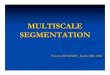 MULTISCALE SEGMENTATION - University of Pennsylvaniajshi/papers/MULTISCALE... · Florence Blorence BENEZIT , , Jianbo Jianbo SHI, SHI, 20042004. Introduction. Graph Based Object Segmentation