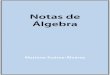 Notasde Álgebracms.dm.uba.ar/academico/materias/1ercuat2019/algebra_I/...Conjuntos J.J.Conjuntos 1.1.1. Un conjunto es una colección de objetos, a los que nos referimos como sus