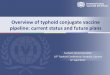 Overview of typhoid conjugate vaccine pipeline: current ...€¦ · 2016-07-01  · • Zydus cadila developed a typhoid conjugate vaccine using TT as the carrier protein • Phase