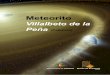 Meteorito - mu 2019. 7. 5.¢  ElmeteoritodenominadoVillalbetodelaPe£±a,porser£©steellugardelprimerhallazgocon