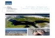 Sveriges åtagande i Baltic Sea Action Plan...Sveriges åtagande i Baltic Sea Action Plan Förslag till nationell åtgärdsplan rapport 5985 • JULI 2009Efter den 1 juli 2011 ansvarar