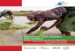 IRRIGATION, FOOD SECURITY AND POVERTY · irrigation scheme, for farmers without their own animal traction, Sélingué Table 23: Advantages and constraints for different types of family