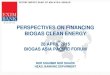 PERSPECTIVES ON FINANCING BIOGAS CLEAN ENERGY KL Day 1 PDF/14.00...PERSPECTIVES ON FINANCING BIOGAS CLEAN ENERGY 28 APRIL 2015 BIOGAS ASIA PACIFIC FORUM NOR SHAHMIR NOR SHAHID HEAD,
