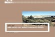abetales de Abies pinsApo boiss. - Jolube · 2010. 3. 18. · Abies pinsapo Boiss. En: VV.AA., Bases ecológicas preliminares para la conservación de los tipos de hábitat de interés
