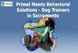 Primal Needs Behavioral Solutions - Dog Trainers in Sacramento