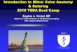 Introduction to Mitral Valve Anatomy & Suturing 2016 TSDA Boot … · 2019. 10. 8. · Intro Mitral Valve Anatomy: 2016 TSDA Boot Camp Lets get to work and enjoy the lab…. SCHOOL