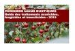 CERISIERS NAINS RUSTIQUES 2015. 5. 15.¢  Cerisiers nains rustiques - Guide des traitements acaricides,
