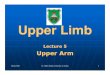 Lecture (5) Upper Arm 2016.ppt - UNIVERSITY OF JORDAN ... · Microsoft PowerPoint - Lecture (5) Upper Arm 2016.ppt [Compatibility Mode] Author: Mid Created Date: 3/7/2016 8:27:48