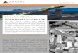 AUCTUS METAL PORTFOLIOS 2021 · 2021. 1. 15. · on your portfolio of metals through 2021 into 2022 and beyond. It is our view that the best precious metal to invest in at present,