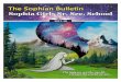 SophiaSophia GirlsGirls Sr.Sr. Sec.Sec. SchoolSchoolsophiaschoolkota.com/pdf/bulletin1718.pdflife. The conﬁdence and uncondional love I've got from Sophia will be cherished forever