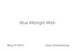 Blue Midnight Wish - Computer Sciencespr/gdn2010/andrei.pdf · Blue Midnight Wish(BMW) Authors: Danilo Gligoroski, Vlastimil Klima and their team Norwegian University of Science and