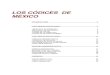 LOS CÓDICES DE MÉ 1L01MLJWY-10TH2J4-VT/INDEX.pdf · PDF file Figura 10 Atlas de Durán CÓDICES PREHISPÁNICOS El número de códices prehispánicos que se conserva en la actualidad