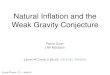 Natural Inﬂation and the Weak Gravity Conjecture · 2016. 4. 22. · Natural Inﬂation and the Weak Gravity Conjecture Pablo Soler UW-Madison String Pheno ’15 - Madrid J. Brown,