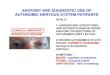 ANATOMY AND DIAGNOSTIC USE OF AUTONOMIC NERVOUS · PDF file BASIC PATHWAY: 2 NEURON ARC All two neuron pathways: 1) Neuron 1 = Pre-ganglionic neuron - cell body in CNS; axon leaves