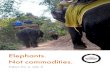 Elephants. Not commodities. - World Animal Protection...Elephants. Not commodities–Taken for a ride 2 7 Executive summary v This report documents the plight of the 3,837 elephants