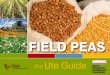 FIELD PEAS - GRDC Southern Grain Belt Edition 2008 (GRDC) Field Crop Herbicide Injury The Ute Guide (GRDC) Grain Quality Winter Grain Crops The Ute Guide (GRDC) Grain Legume handbook