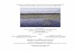 Summary of Monitoring and Evaluation of Coastal Habitats ... · Summary of Monitoring and Evaluation of Coastal Habitats for Potential Restoration Activities: Lake Huron 2002-2003