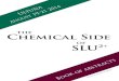 the hemical Side - SLU.SEpub.epsilon.slu.se/12806/11/lundberg_d_151123.pdfcoated with simple carboxylic acid molecules and natural organic matter, and natural and engineered nanoparticles
