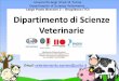 Presentazione standard di PowerPoint...2017/07/17  · Perché studiare Medicina Veterinaria presso il DSV di Torino? Dipartimento di Scienze Veterinarie ha ottenuto la certificazione
