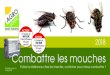700 EUR Combattre les mouches · 2019. 5. 16. · mouches - solution écologique - très effi cace dans les endroits où il y a une circulation d’air 50 000 mouches RUBAN ANTI MOUCHE