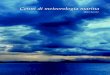 Cenni di meteorologia marina - Mauro Levrini di meteorologia marina.pdf · 2018. 5. 23. · Cenni di meteorologia marina – Mauro Levrini 3 Elementi meteorologici principali Pressione,