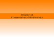 Chapter 18 Conservation of Biodiversity...Convention on Biological Diversity • Convention on Biological Diversity An international treaty to help protect biodiversity. The treaty
