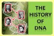 OVERVIEW OF THE HISTORY OF DNA RESEARCHmrsgowda.weebly.com/.../history_of_dna_-_scientists.pdf · 2018. 9. 10. · Crystallized DNA to make an X-ray diffraction pattern of it. •