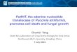 PsANT the adenine nucleotide translocase of Puccinia …PsANT, the adenine nucleotide translocase of Puccinia striiformis, promotes cell death and fungal growth Chunlei Tang State