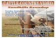 CATTLE COUNTRY VIDEO - Torrington Livestock Markets · 2020. 5. 28. · CC Cattle Country VideoV Thursday, September 16th, 2014 - 10:00 am MT HAYTHORN RANCH SandhillS Roundup ~ ogallala,