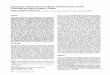Antiidiotypic Antibody Vaccine in Murine Schistosomiasis …dm5migu4zj3pb.cloudfront.net/manuscripts/113000/113976/... · 2014. 1. 30. · AntiidiotypicAntibodyVaccinein MurineSchistosomiasismansoni