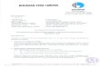 BHUSHAN STEELLIMITED tll Relations pdf/Notice... · 2018. 12. 2. · BHUSHAN STEELLIMITED tll BHUSHAN Corporate Office: Bhushan Centre, Hyatt RegencyComplex, Bhikaji CamaPlace,New