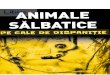 Animale salbatice pe cale de disparitie 3D - salbatice... · PDF file 2020. 3. 4. · de climi si de vegetatie Anumite specii de animale nu au reuSit sa se adapteze la ricirea sau