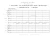 Concerto for Vibraphone and Orchestra I ... - Ney Rosauro · Vibraphone Cadenza 19 FL. Ob. Cl. Bn. Hrs. Perc. Solo Vl. I Viol.II Vla. Vcl. Bass 78 78 78 78 78 7 8 78 78 78 78 78 78
