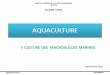 I- CULTURE DES MACROALGUES ... I- CULTURE DES MACROALGUES MARINES Aquaculture marine Aziz REGRAGUI •Les algues constituent un ensemble très diversifié de végétaux aquatiques