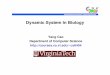 Dynamic System In Biology - Coursescs6404/DynamicSystem.pdf• Phase Plot and Dynamic System • Stochastic Model and Simulation – Lotka Model – Brusselator Model Computational