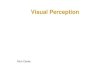 Visual PerceptionVisual Perception - UCL · 2011. 4. 4. · Visual acuity is a function of contrast sensitivity ~30sec Vernier (hyper) ... visual fieldvisual field Different spectral
