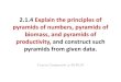 2.1.4 Explain the principles of pyramids of numbers, pyramids of · PDF file 2013. 11. 2. · 2. Pyramids of NUMBERS •Pyramids of numbers sometimes display different patterns, for