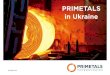 PRIMETALS in Ukraine - WKO.at · 2019. 5. 22. · INNOVATION to move the metals industry forward PASSION for metals production Primetals Technologies ... Kiev Vienna Dnipro Page 4