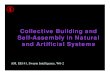 and Artificial Systems Self-Assembly in Natural Collective Building andarpwhite/courses/5002/lectures/self... · 2002. 4. 1. · heterogeneities. • The social insect activity only