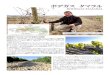 ボデガス タマラル tamaral.pdf畑の様子が届きました。左から、鳥が食べた痕のある葡萄／ウサギが食べた後の葡萄／畑にできた鳥の巣／ドローンでの撮影